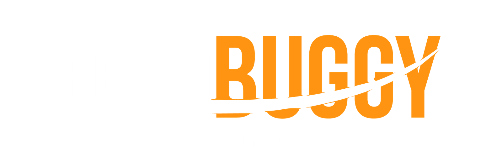 Caribbean Buggy Punta Cana – Excursions & Tours